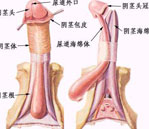 锦州男科医院哪家好